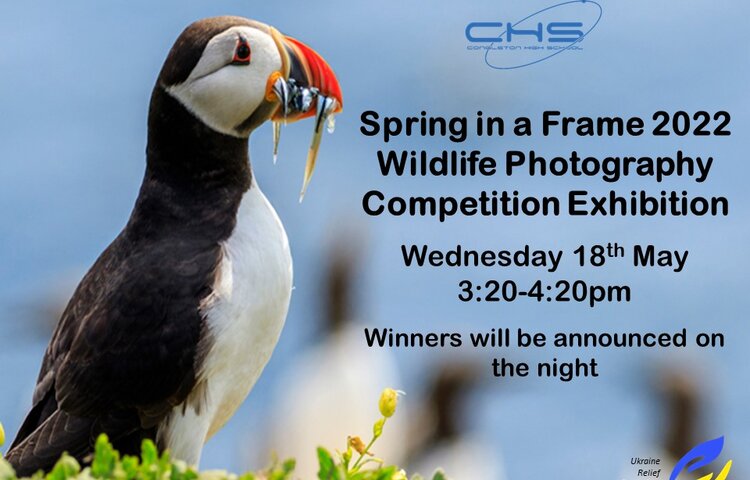 Image of CHS Hosts Congleton Children's Wildlife Competition Exhibition